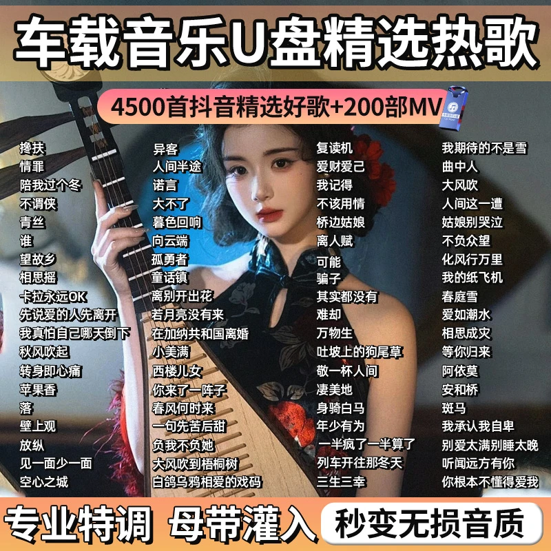 柏林之声无损音质车载音乐u盘抖音精选热歌劲爆dj老歌百听不厌