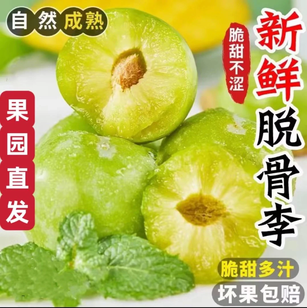 正宗脱骨青脆李四川新鲜应季酸甜多汁孕妇水果