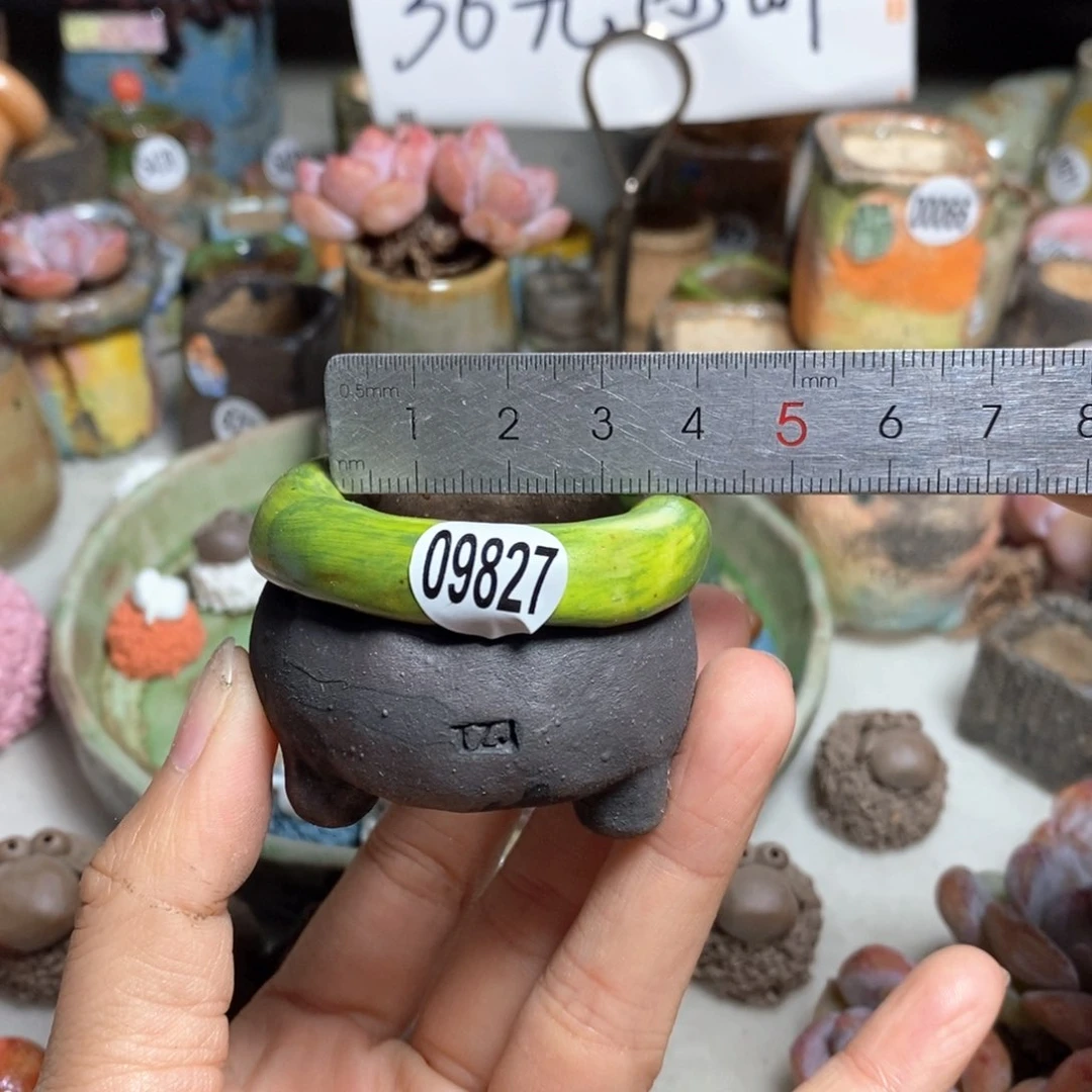 拍3送一个小礼物