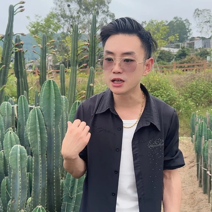 量天尺20cm无根1111111