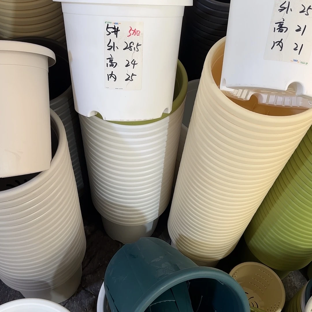 微瑕240托，灰白5个