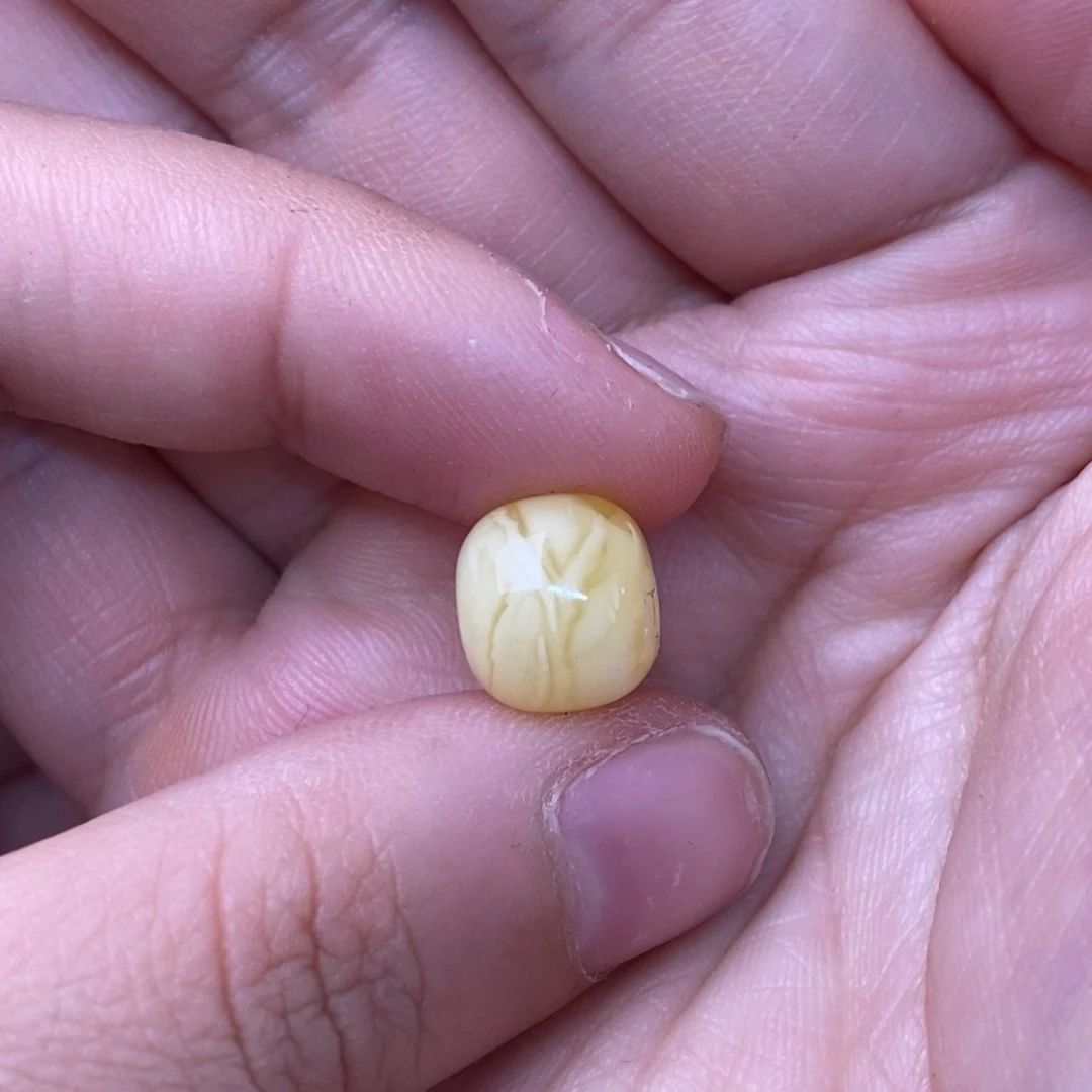 裸石琥珀未镶嵌方*蜜蜡