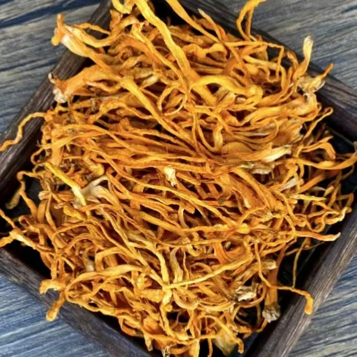 高山甄选 高山虫草花