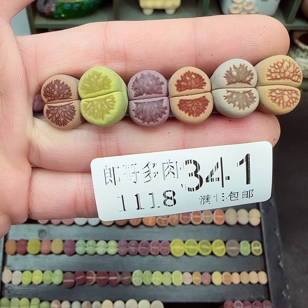 满满18包邮1118-341