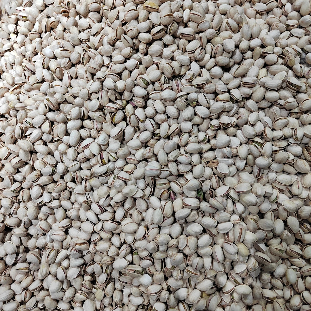 散称原色开心果