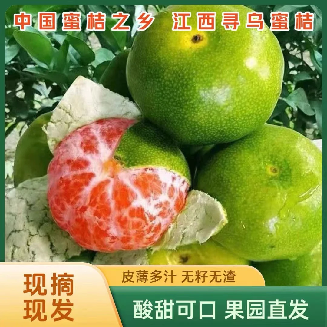 赣南寻乌蜜桔应季新鲜酸甜青皮无籽橘子孕妇水果桔子