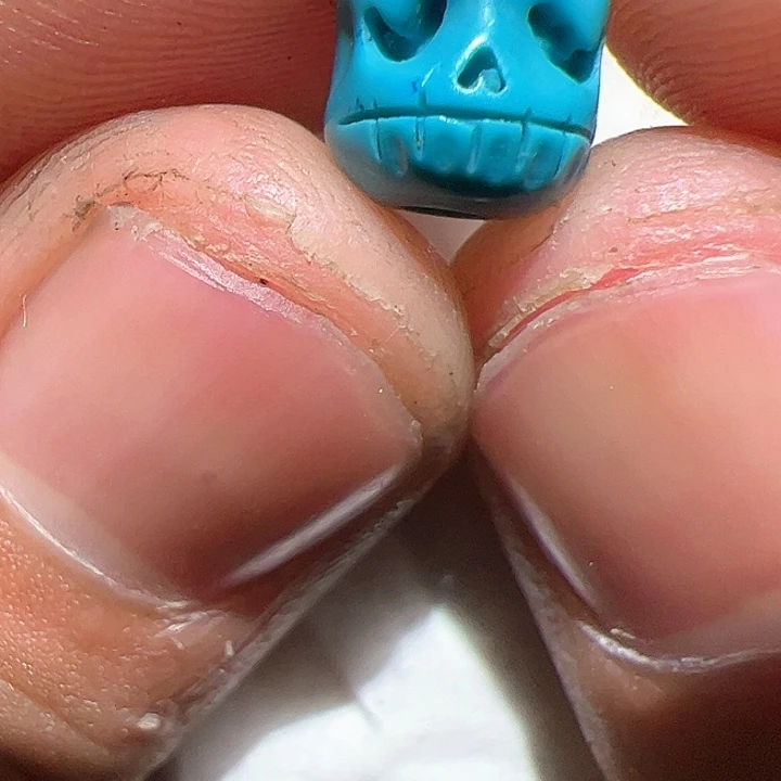 香榧木你的人生观