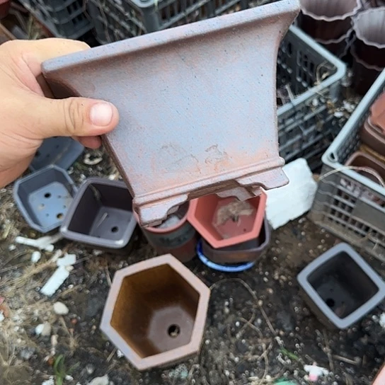 我不在这里吃饭你吃好没了