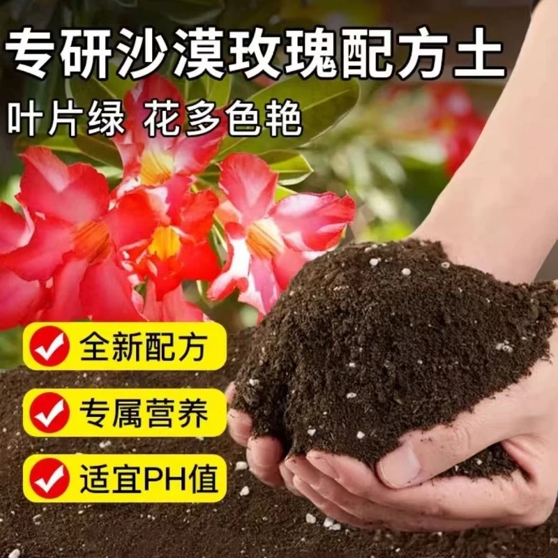 沙漠玫瑰专用营养土阳台种花通用专用土