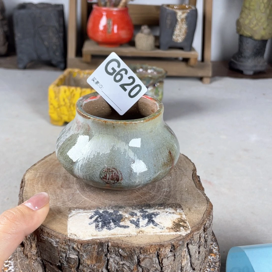 紫砂花盆开播福利陶瓷花盆