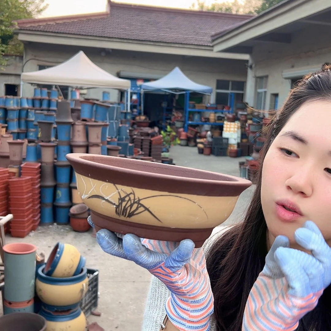 天***恒032小号一个花盆花盆花盆