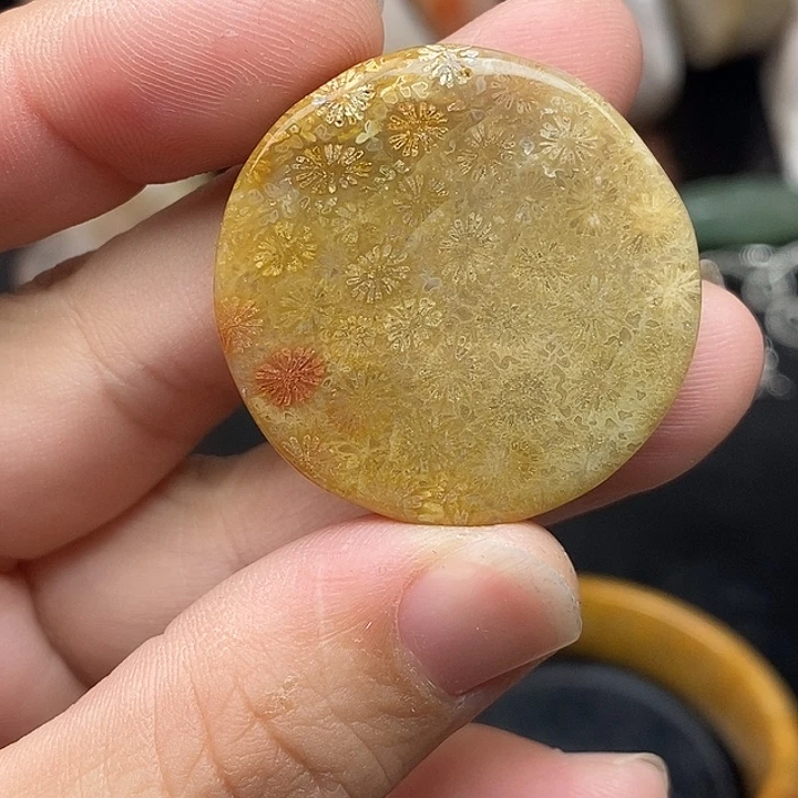 硅化玉未镶嵌颈饰