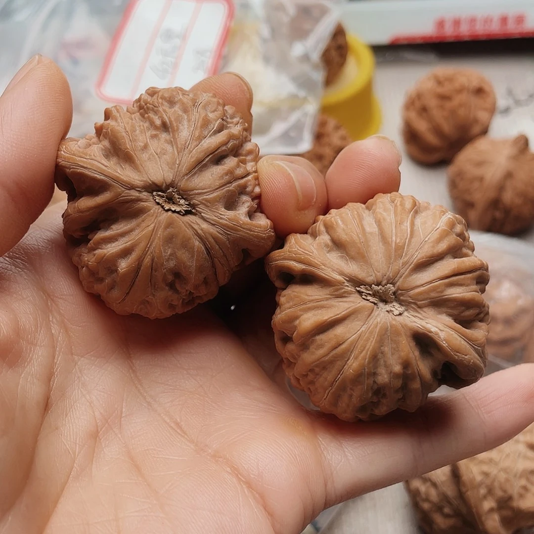 ?*?43铁石精神为你献