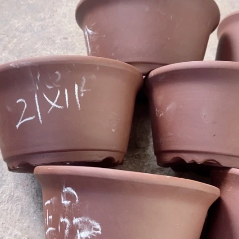 100.9。  21-11。