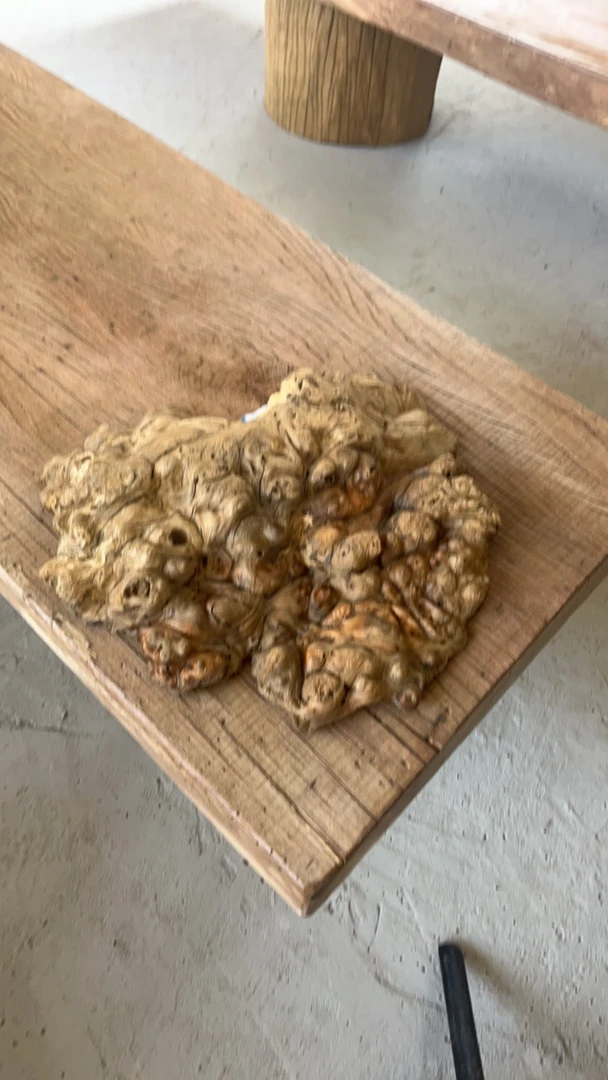 侘寂风 满龟背的满瘤小摆件