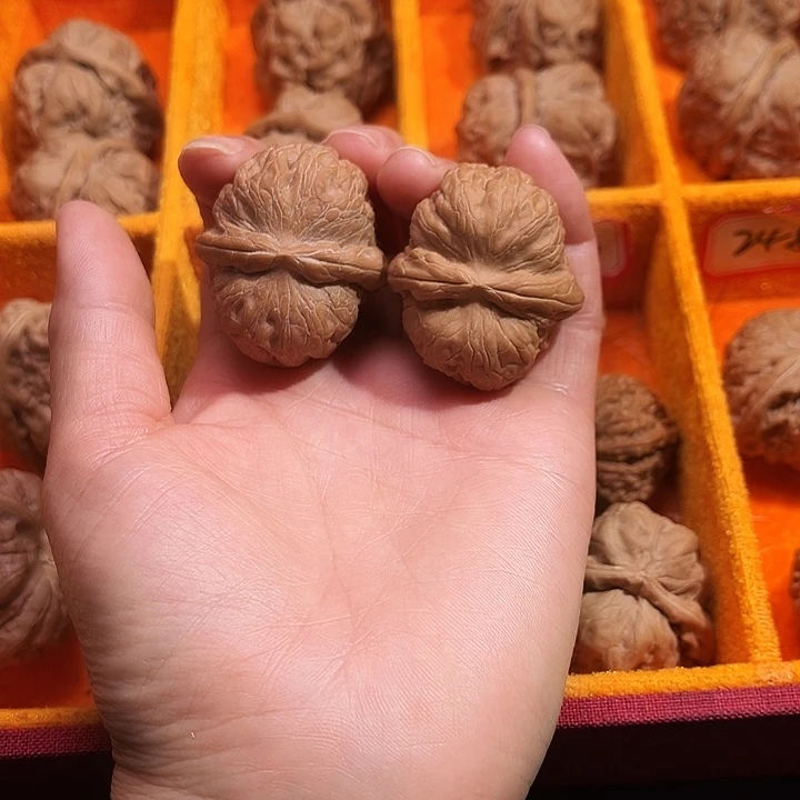 核桃涞水山地果元宝40尺