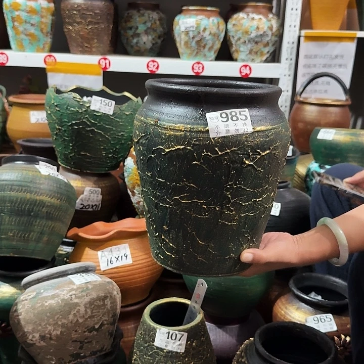 金绿91号高度24口径16