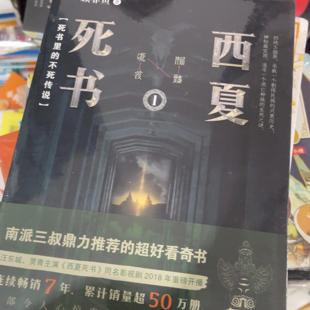 西夏死书简装一个