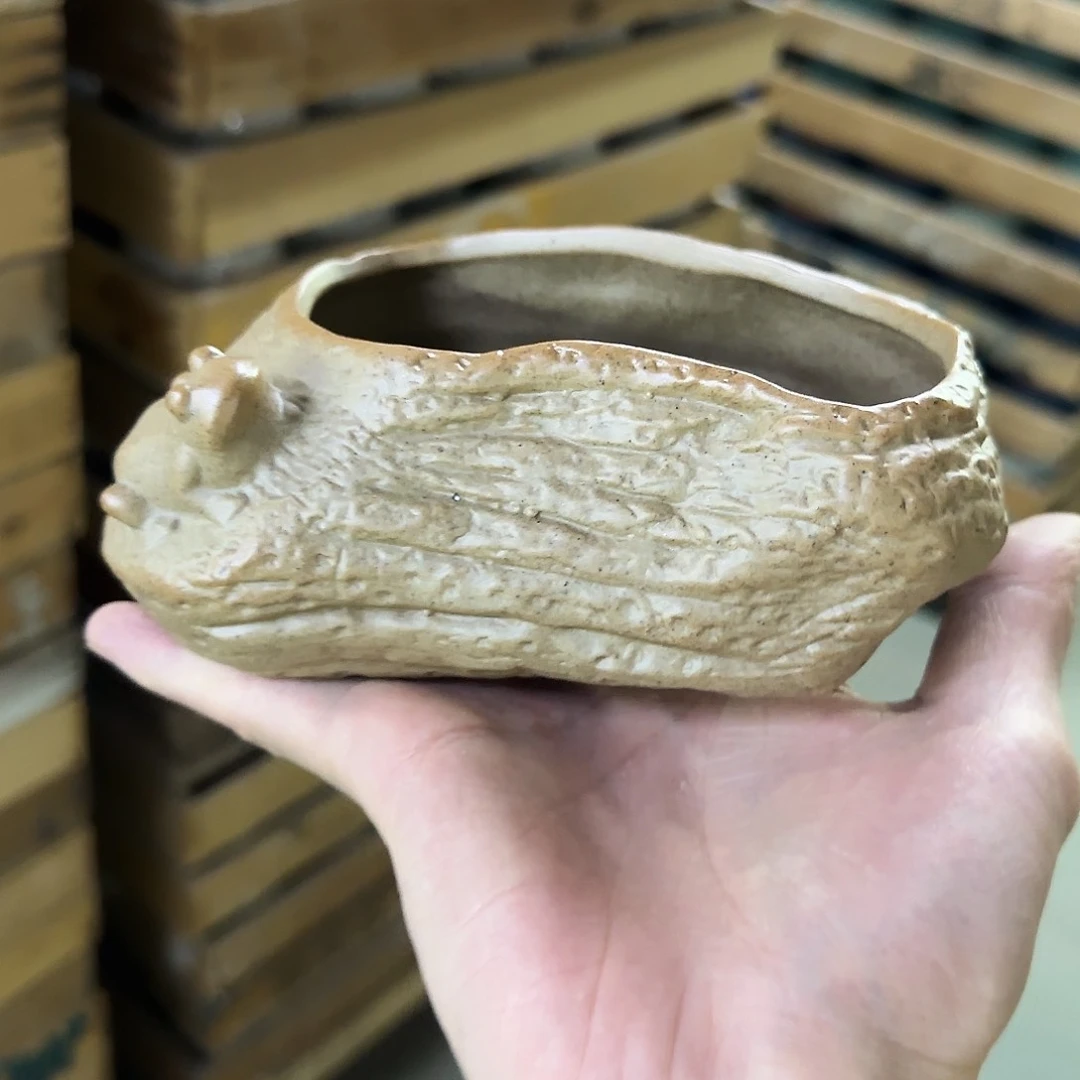 福利局库存尾单·有孔花盆当天满9元发