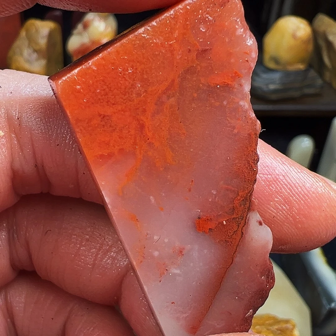 寿山石印石肖*生寿山石