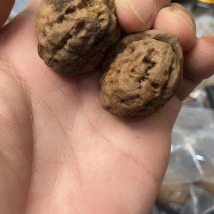 文玩核桃把件云南铁核桃基地1 4