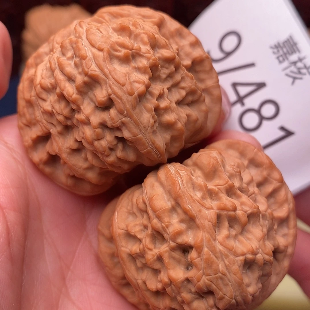 把件文玩核桃46白狮子