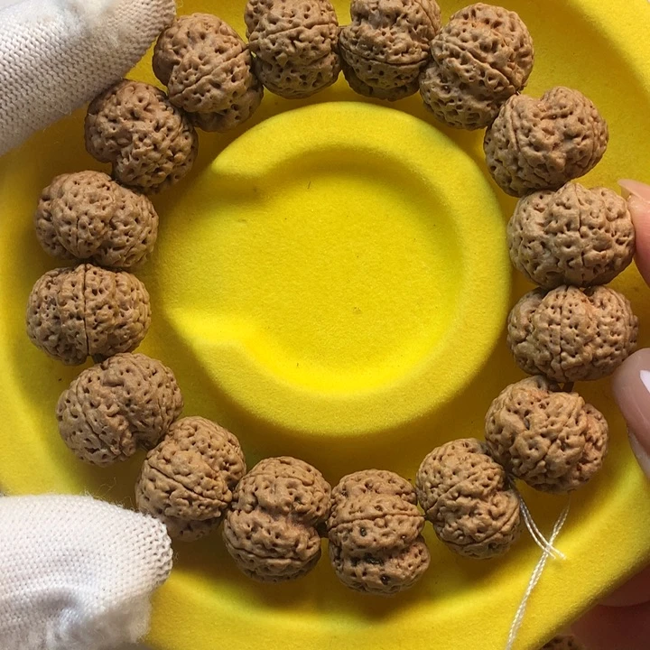 吊坠金刚菩提20尺寸龙牙梅花