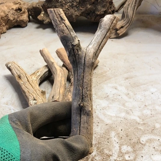 大果紫檀（缅甸花梨）凉