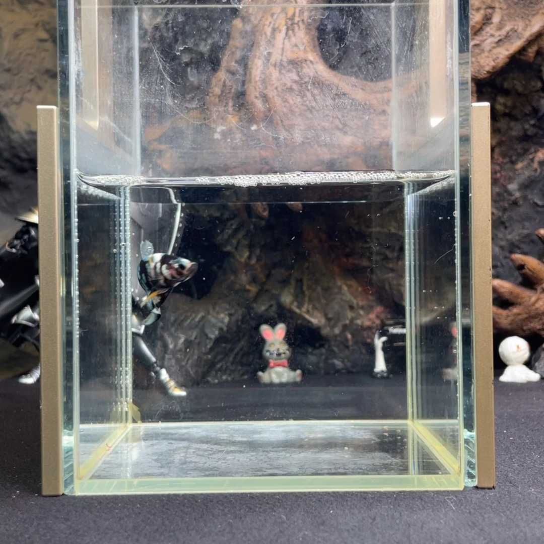 斗鱼十月二十八日竞价