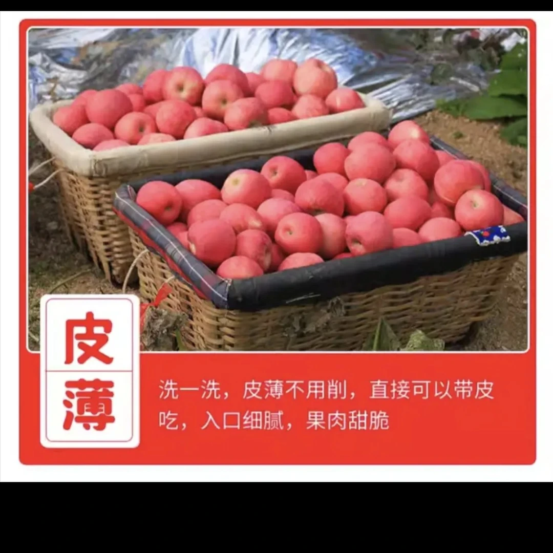 烟台市红富士苹果新鲜应季脆甜多汁皮薄肉厚水果