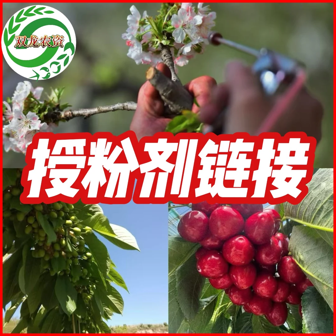 花果宝樱桃授粉剂一袋12种数量批发