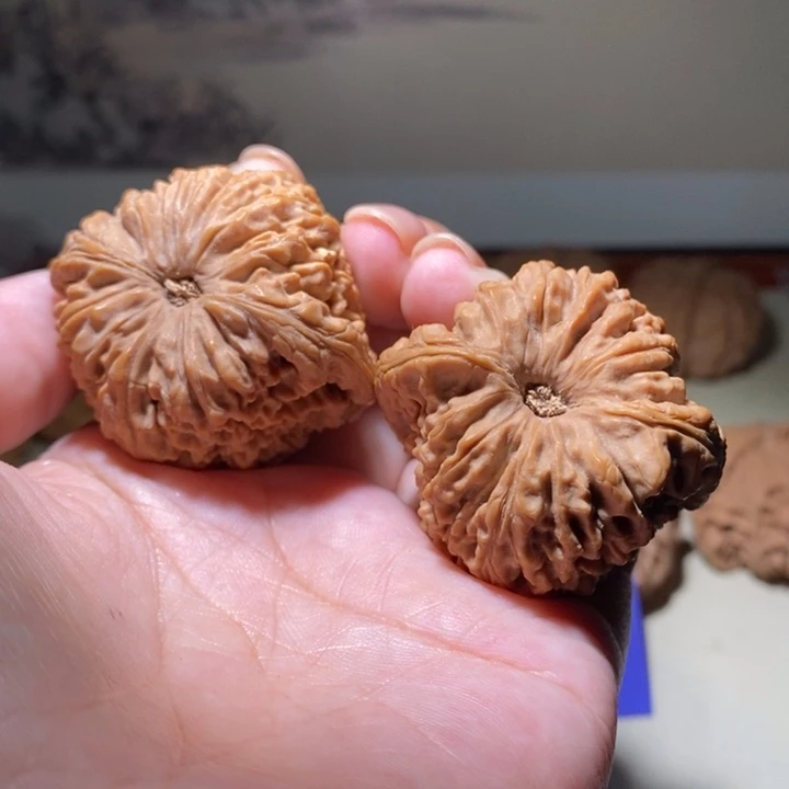 把件文玩核桃41凹底南疆