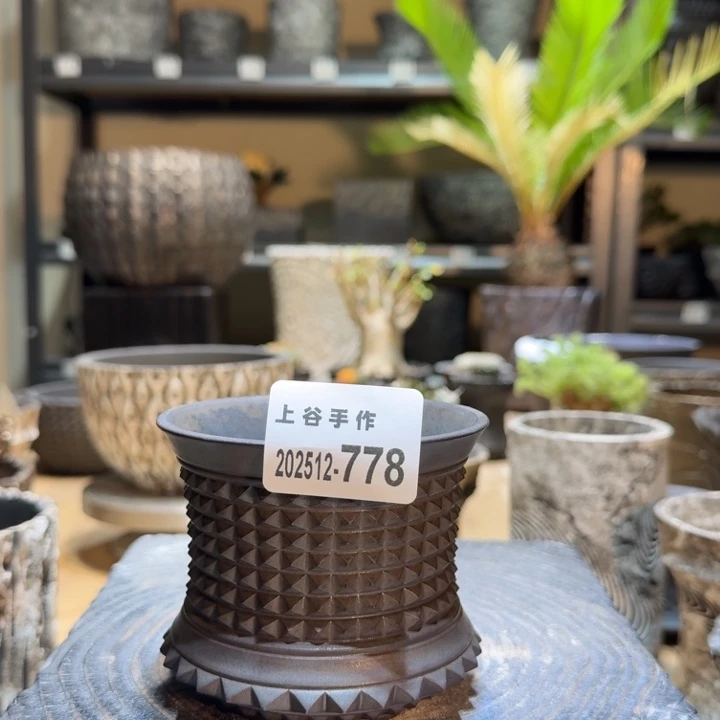 内口9高8.5亚金铆钉