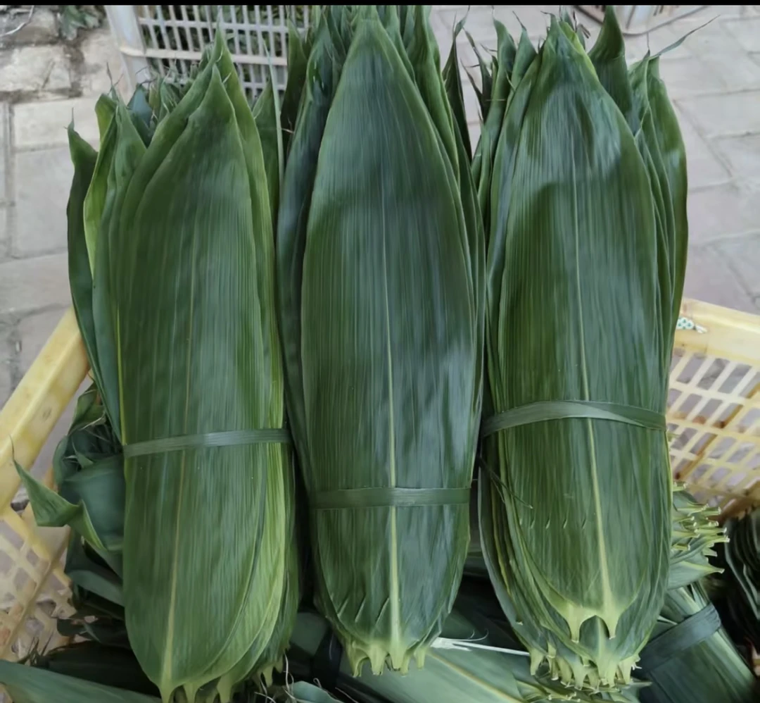 江西新余农家特产粽叶