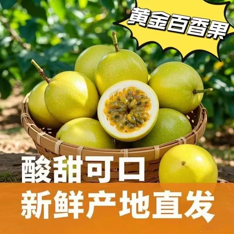 【正宗钦蜜9号百香果】新疆西藏不发当季新鲜水果鲜甜多汁口感饱满