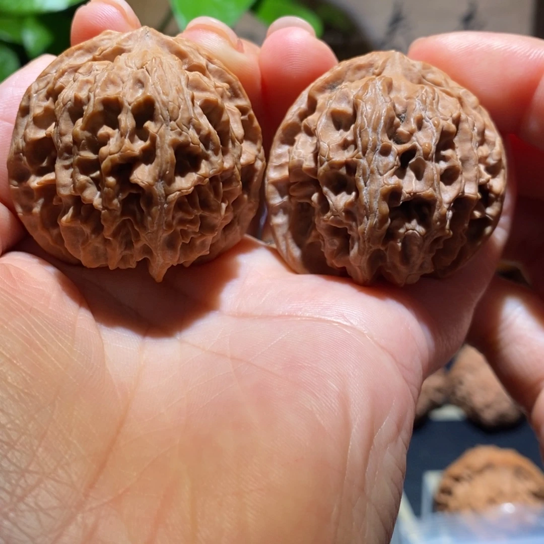 文玩核桃把件苹果41+