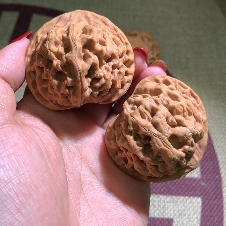 ?**S105珊瑚纹00000000