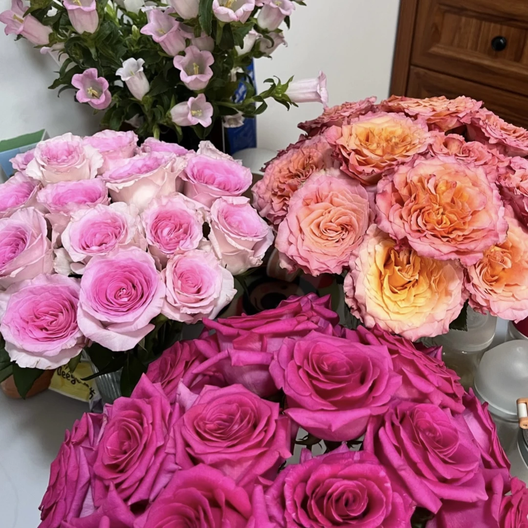 5月24日云南基地直发鲜切花一箱20%损耗不售后