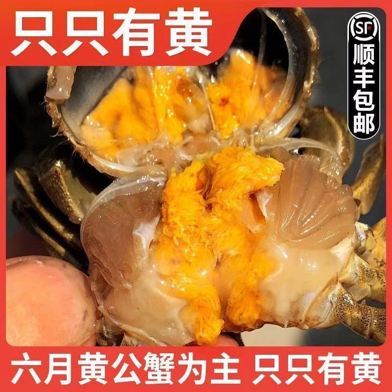 鲜活海鲜 0.8-1.1两 10+5 只 京东包邮