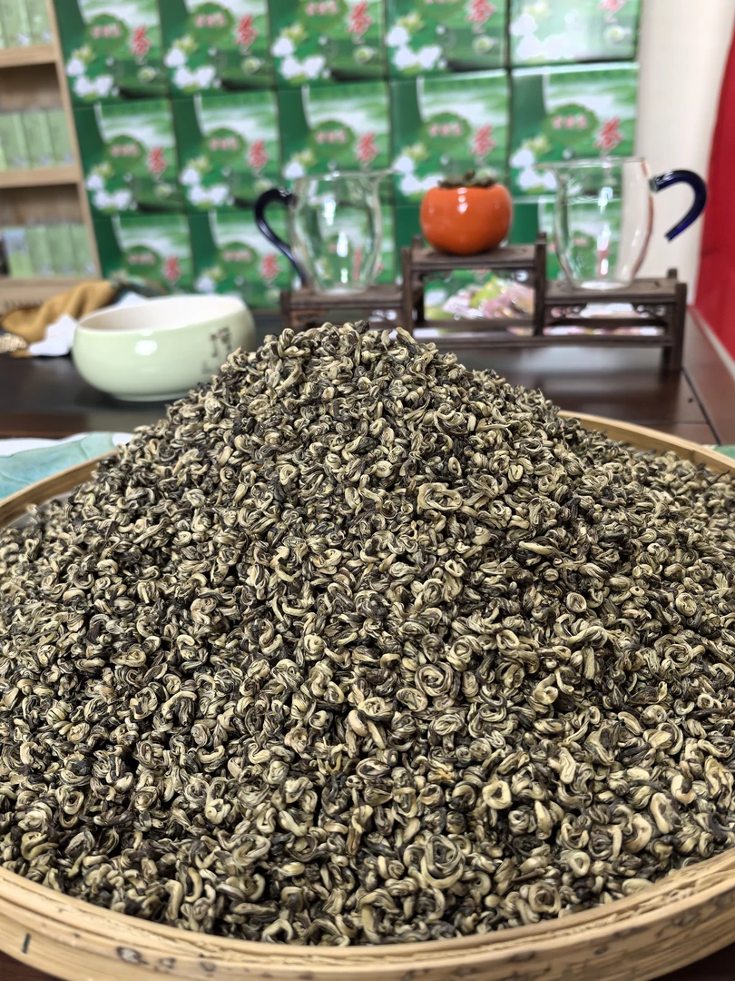 新茶浓香 茉莉玉螺王 传统茉莉花茶香气浓郁口感醇厚