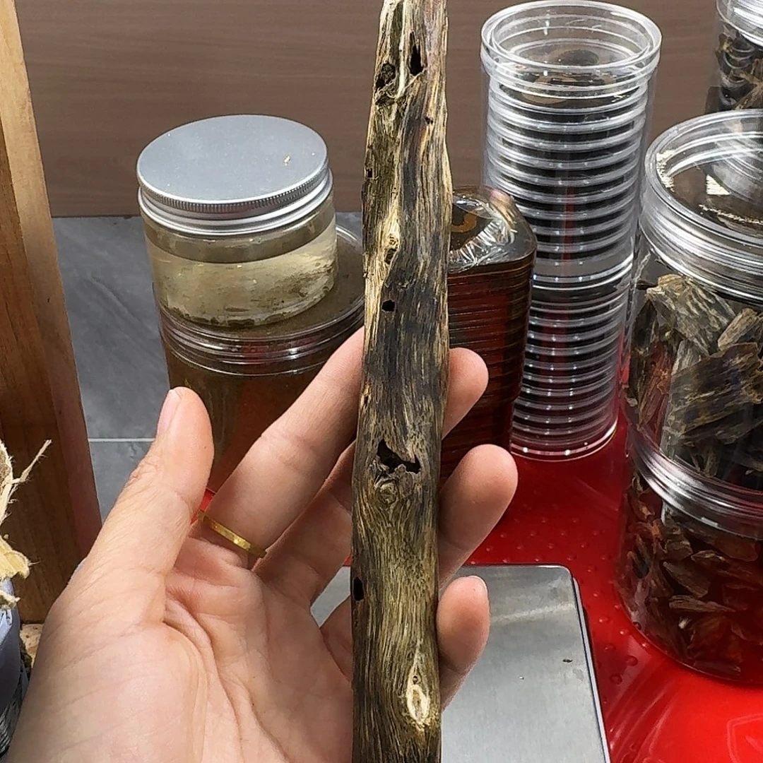 香料绿奇楠虫漏白棋24克