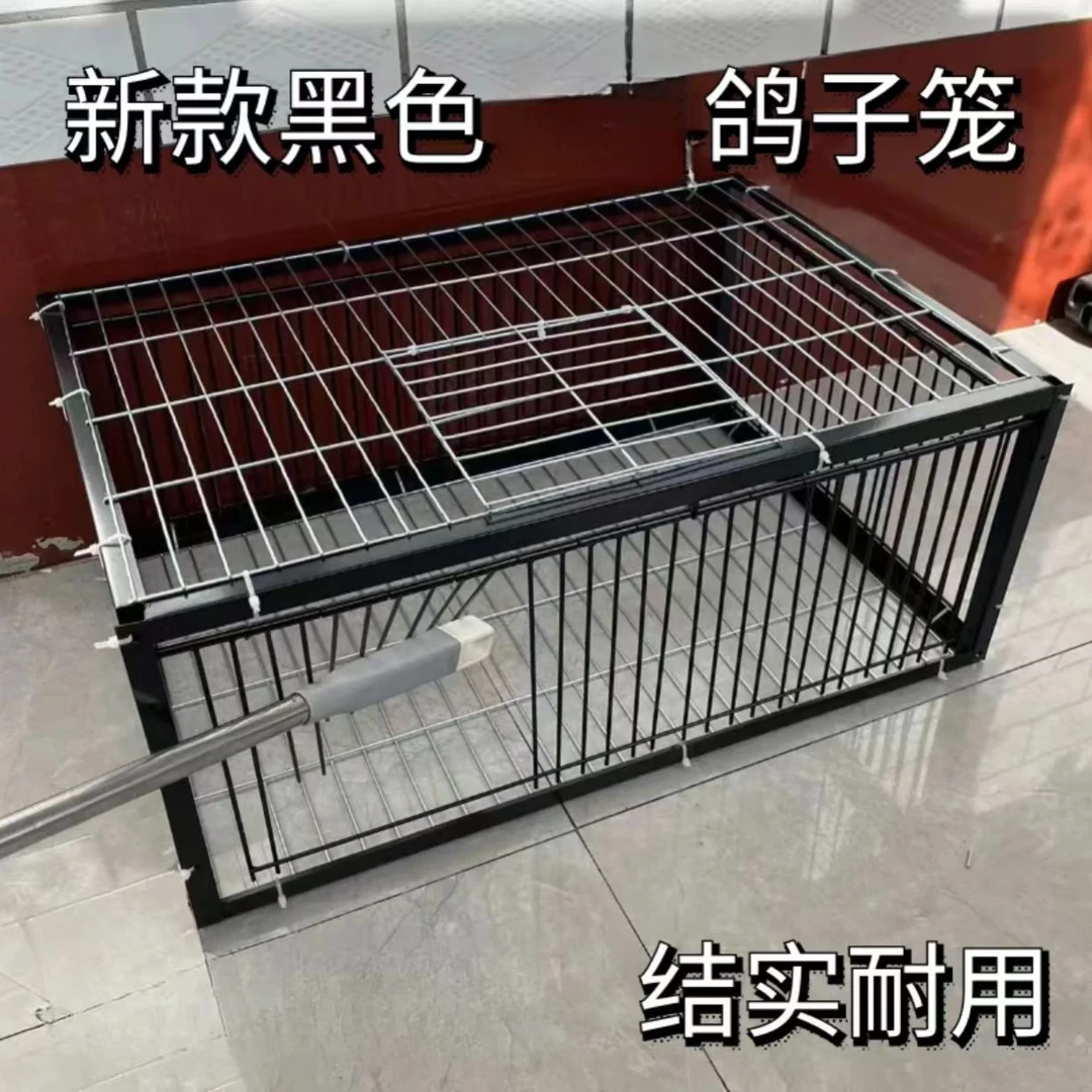 鸽子笼家畜笼家禽笼信鸽笼鸟笼家用养殖用品用具