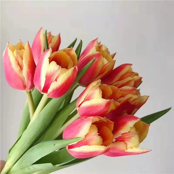 【1枝橘红郁金香】～全店满35元包邮～生活鲜花居家花