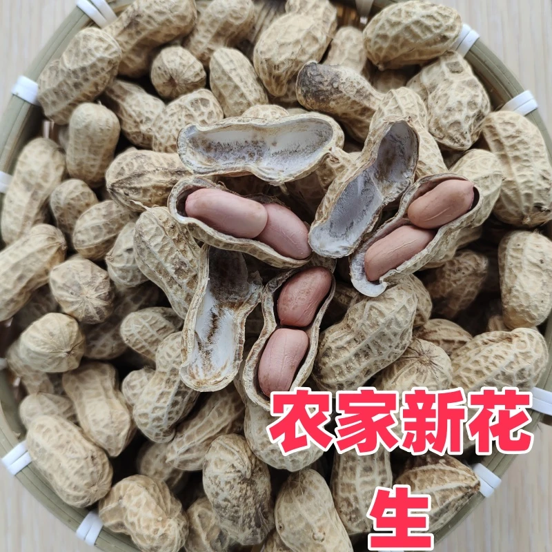 重庆农家土货自种带壳晒干小花生粉皮花生可做种子炒花生榨花生油