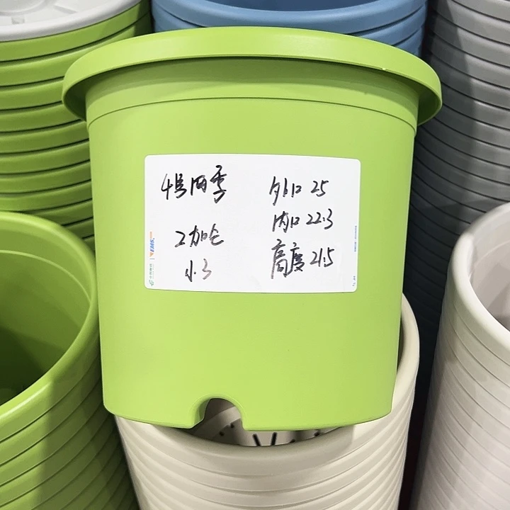 正品4号四季口25高21.5果绿无托8只