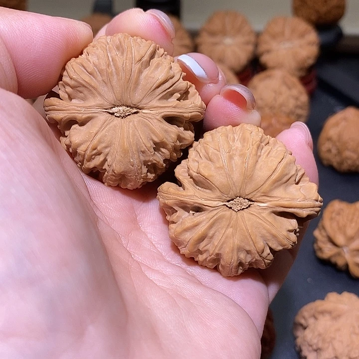 把件文玩核桃40.5白狮子