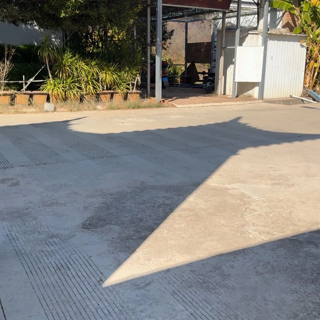 清松颗粒多肉粒2.4公斤