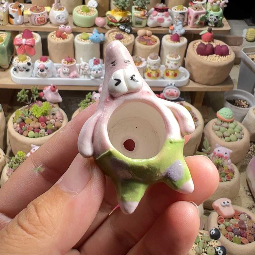 讨*泥多肉植物94号种鸽子蛋