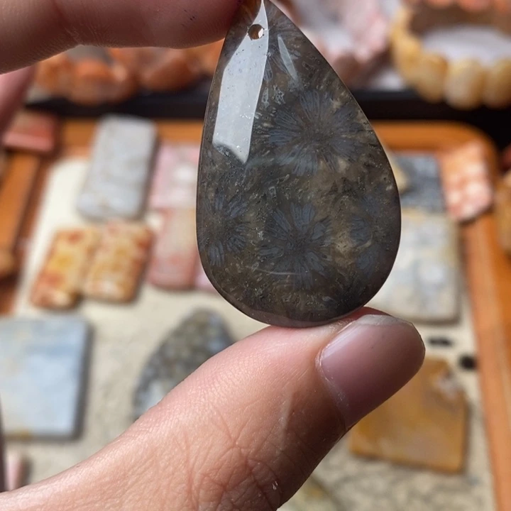 ****木颈饰未镶嵌硅化珊瑚（珊瑚玉）