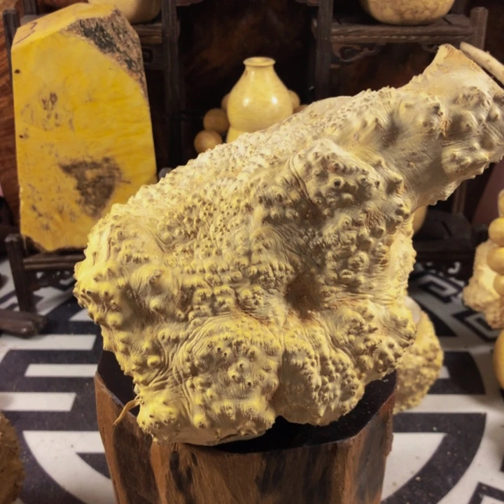 木艺*木料女款木料木料